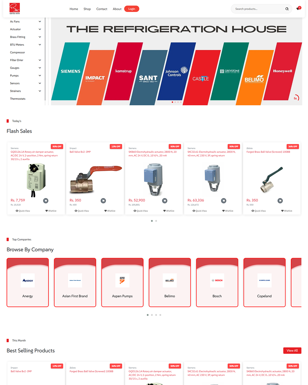 Website Development Project